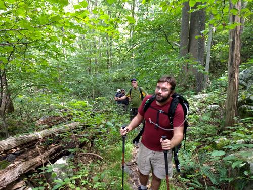 Saturday, Aug 24th Hike, Piney River Falls, Shenandoah NP