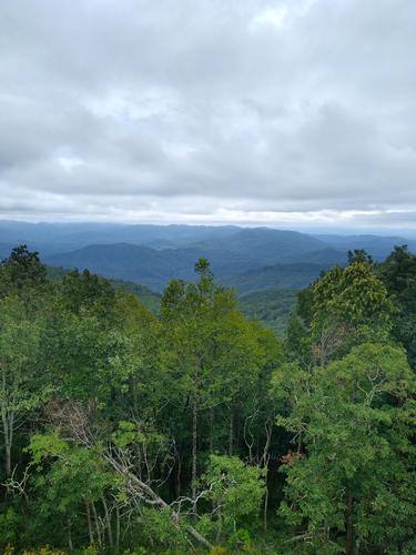 8.9 Mile AT Hike - Tanyard Gap to Allend Gap.