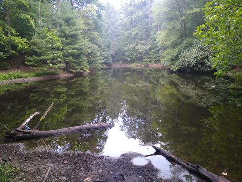 5.3 Mile Appalachian Trail Hike - Hot Springs to Tanyard Gap