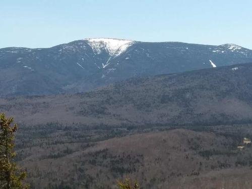 Black Mt (Wachipauka Pond subsitute)