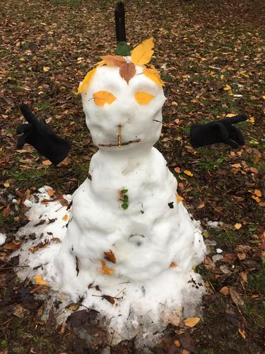 A Haunted Halloween Hike in the Arnold Arboretum