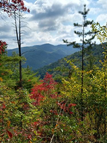 AT Hike- Taylor Valley to Damascus 