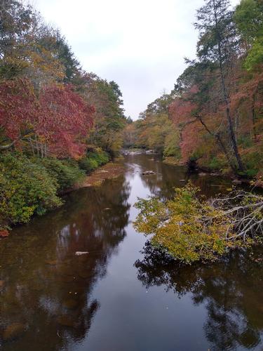 AT Hike - Dismal Creek Falls to Lickskillet Hollow
