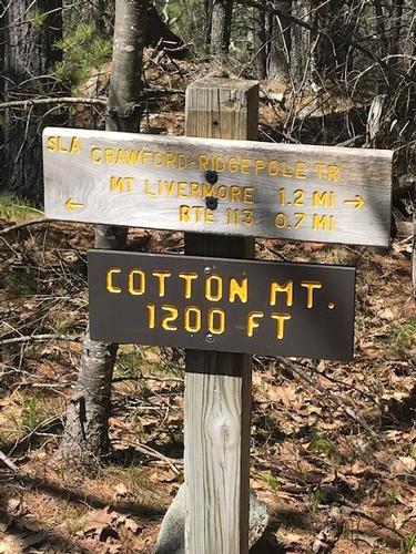 Mount Livermore and Cotton Loop Hike