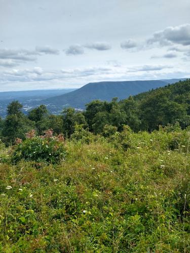 19.1 mile AT Hike - Virginia