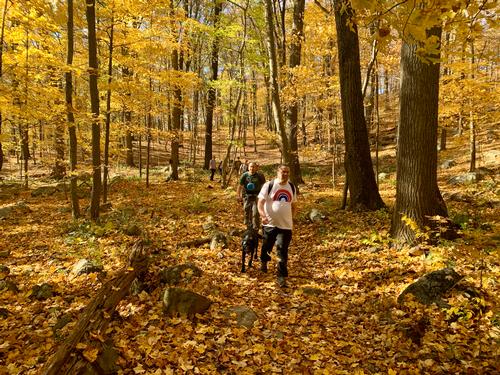 A Queer 7-mi Cold Spring Halloween Hike