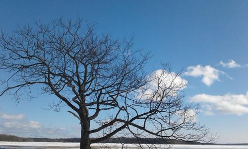 Cross Country Skiing The Eastern Trail