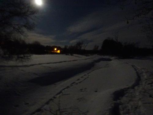 Snow Moon snowshoe hike