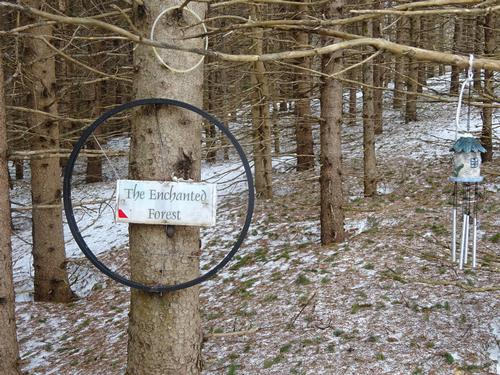 Snowshoe hike at the Nordic Heritage Ctr
