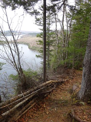 Gardner Mtn & Pond - Deboullie Reserve