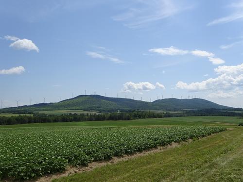 Hike to the north peak of Mars Hill