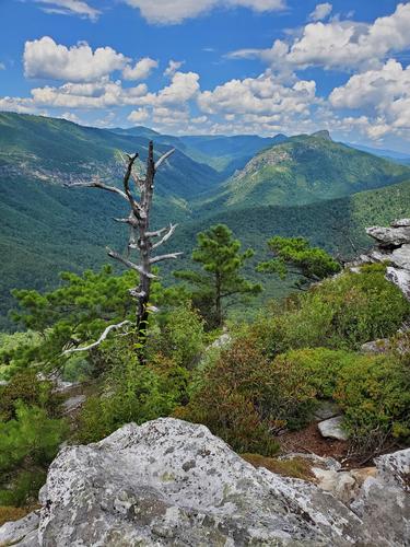 Linville Gorge loop