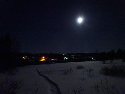 Moonlight snowshoe hike
