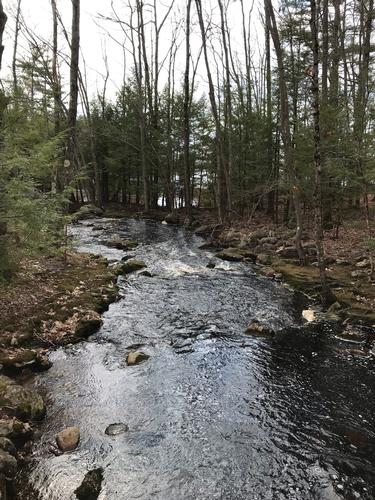 Early Tower Hill Pond Loop Trail walk