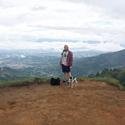 Goodviews